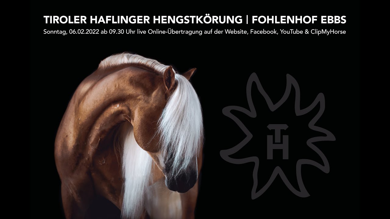 Hengstkörung Haflinger Pferdezuchtverband Tirol | 06.02.2022 | Fohlenhof Ebbs