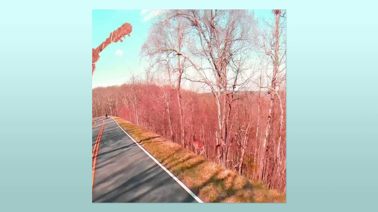 Richard In Your Mind - Shooting Star