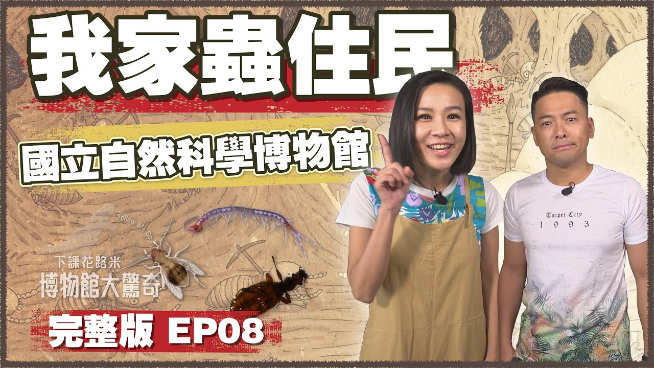 【下課花路米-博物館大驚奇EP8】我家蟲住民－國立自然科學博物館