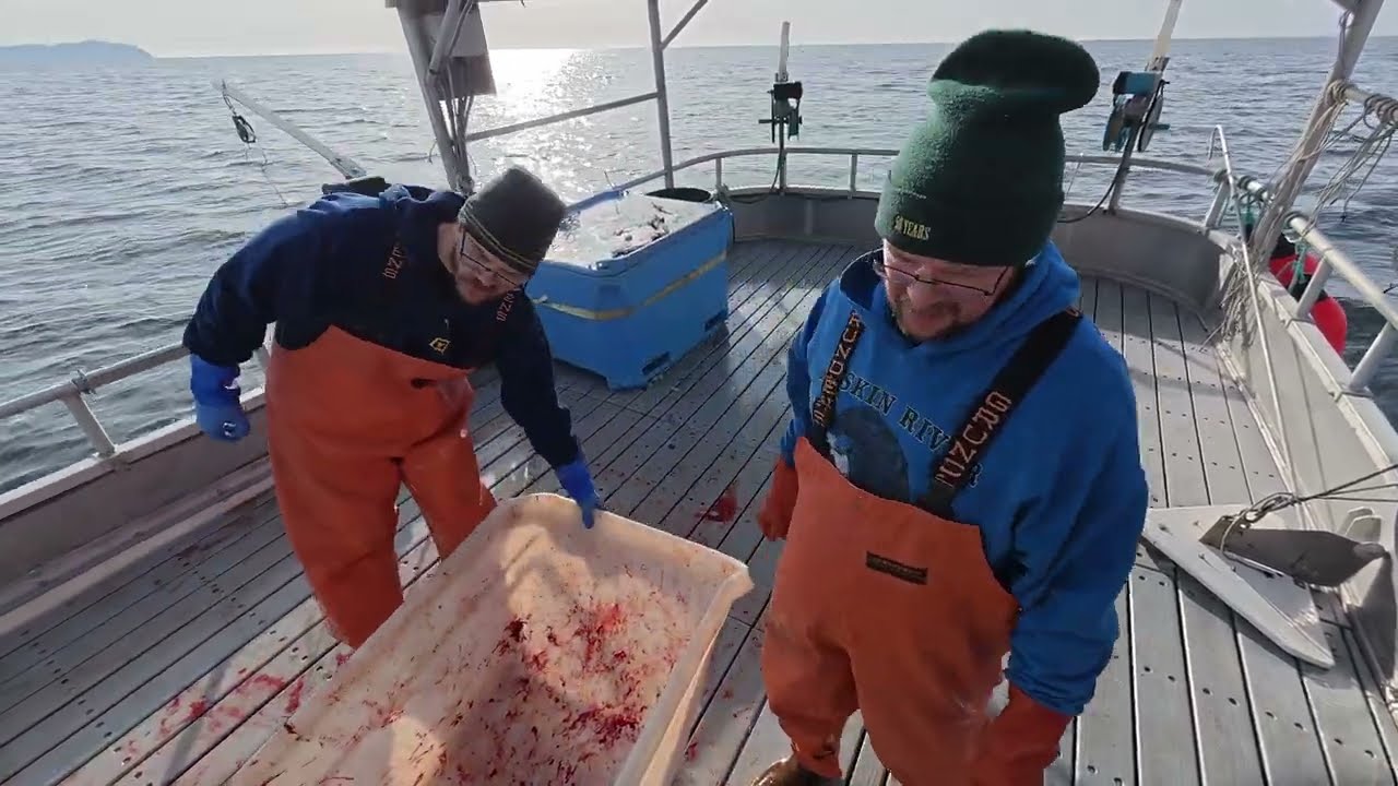 Reeling In Some Lunker Cod! | Jigging for Pacific Cod in Alaska