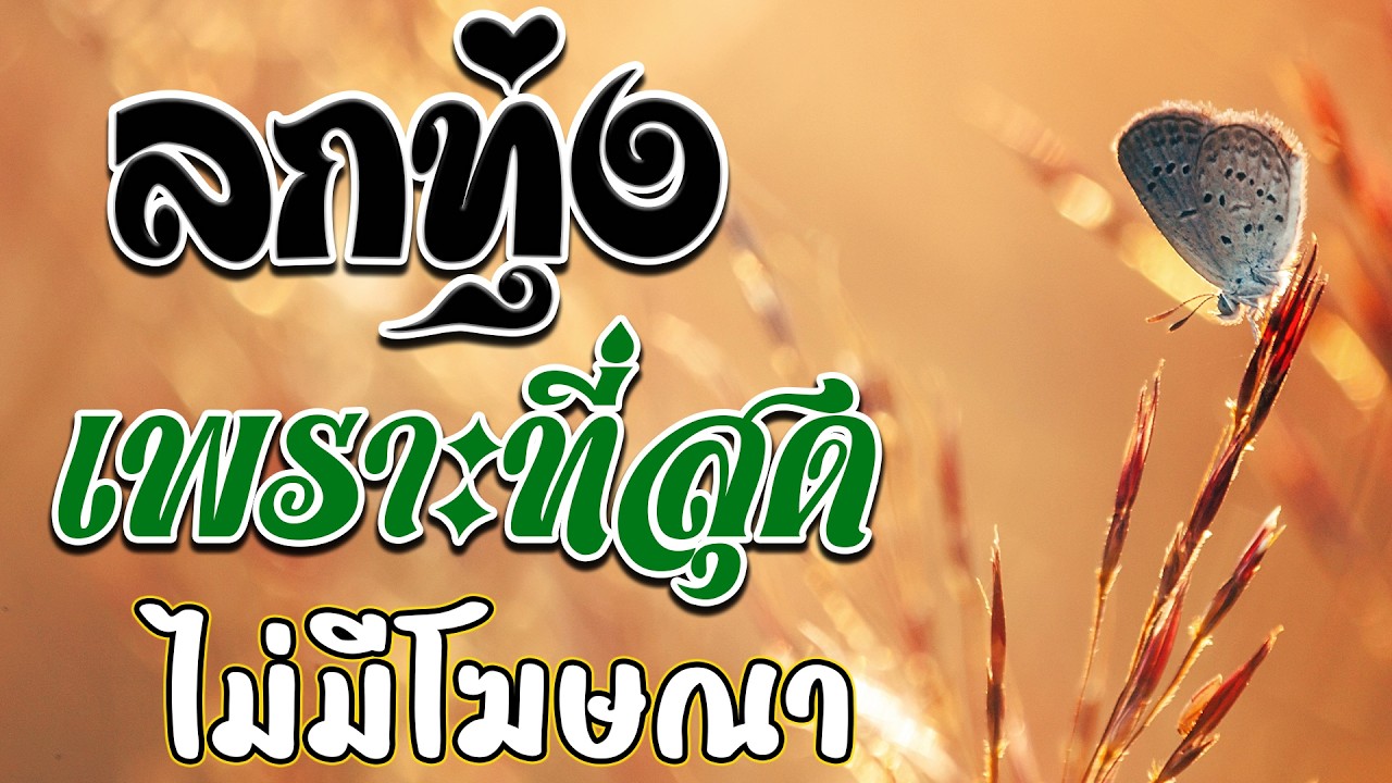 ลูกทุ่งสุดไพเราะ ฟังต่อเนื่อง20เพลง 💗 เพลงลูกทุ่งฟังเพราะ 100% ไม่มีโฆษณา