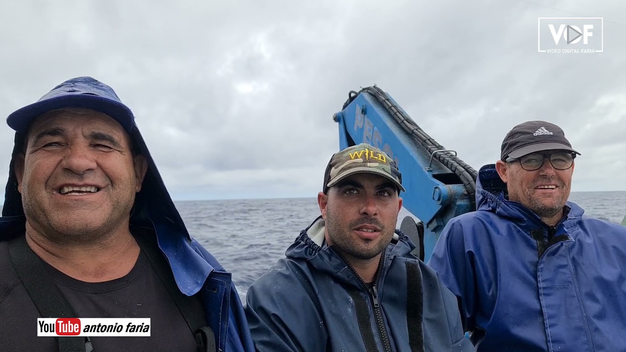 Pesca ao bonito no Mestre Afonso 2021