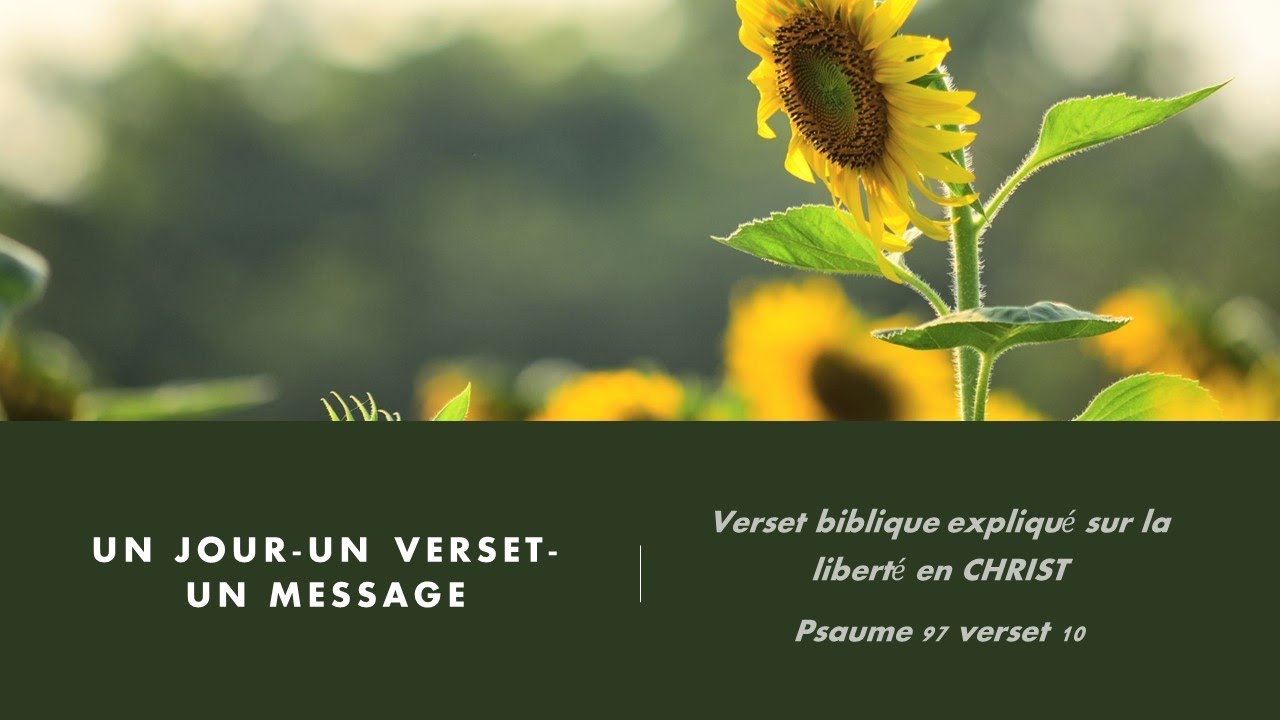 PSAUME 97 V 10 - VERSET BIBLIQUE EXPLIQUE - LA LIBERTE - NOUS DEVONS HAÏR LE MAL