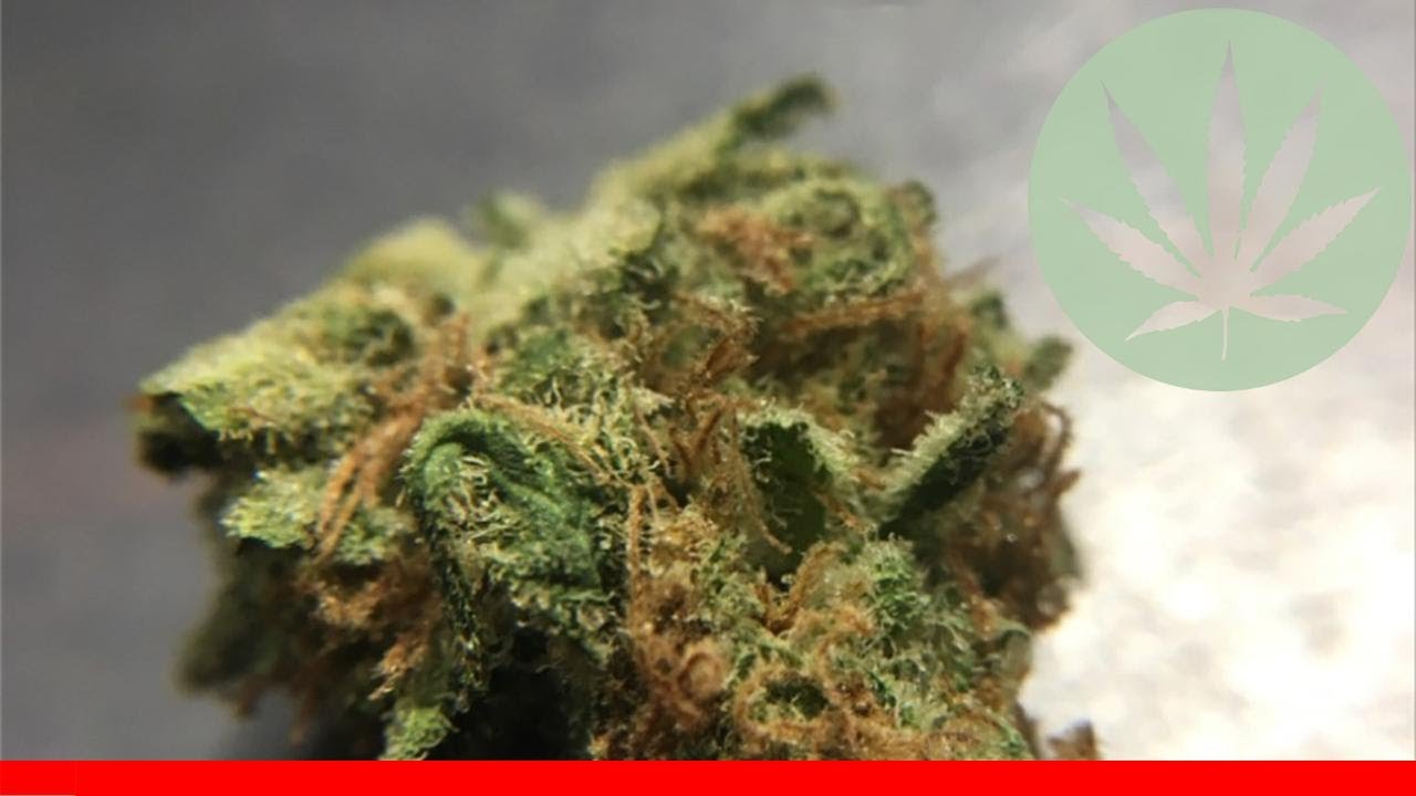 Strawberry Fields - All About This Strain