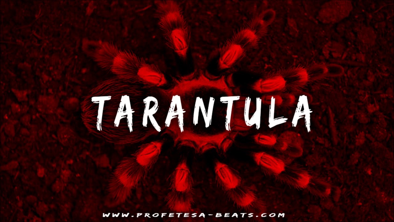 Aggressive Fast Flow Trap Rap Beat Instrumental ''TARANTULA'' Hard Angry Drill Dark Trap Type Beat