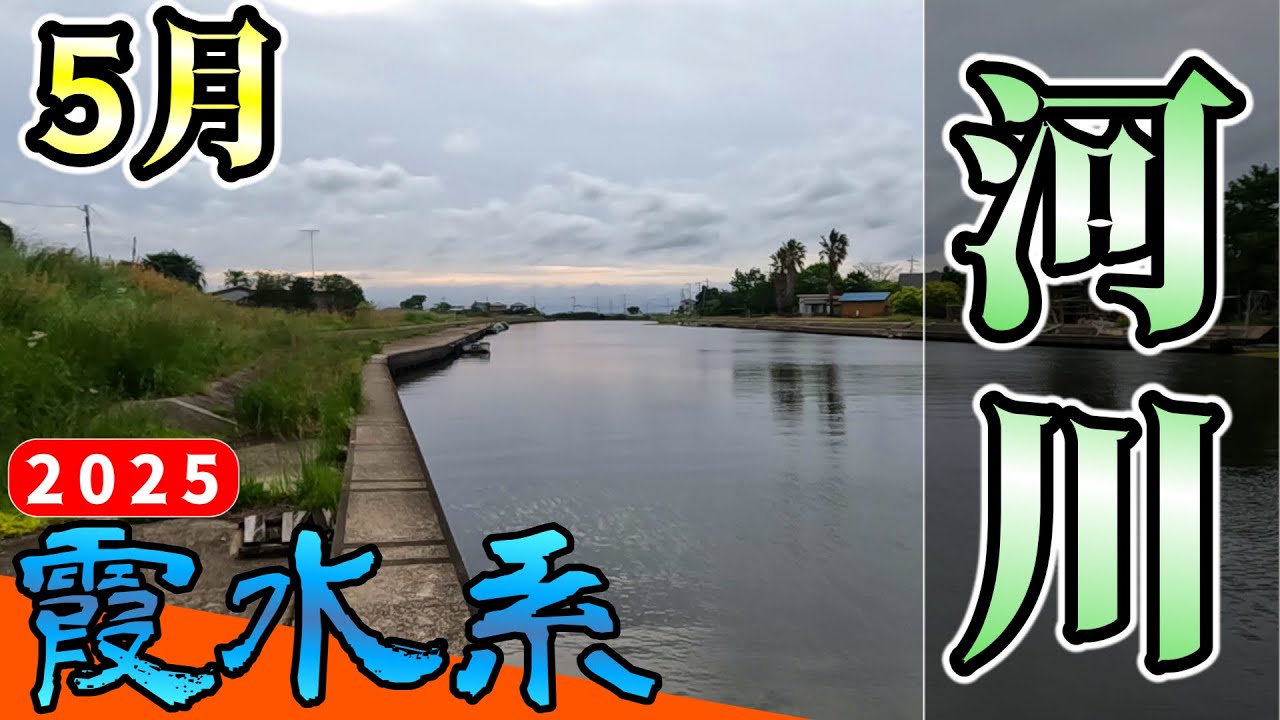 【バス釣り】【霞ヶ浦】アフターバス絶好調!?