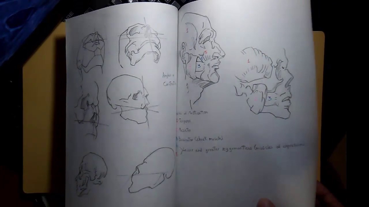 Bridgman Studies