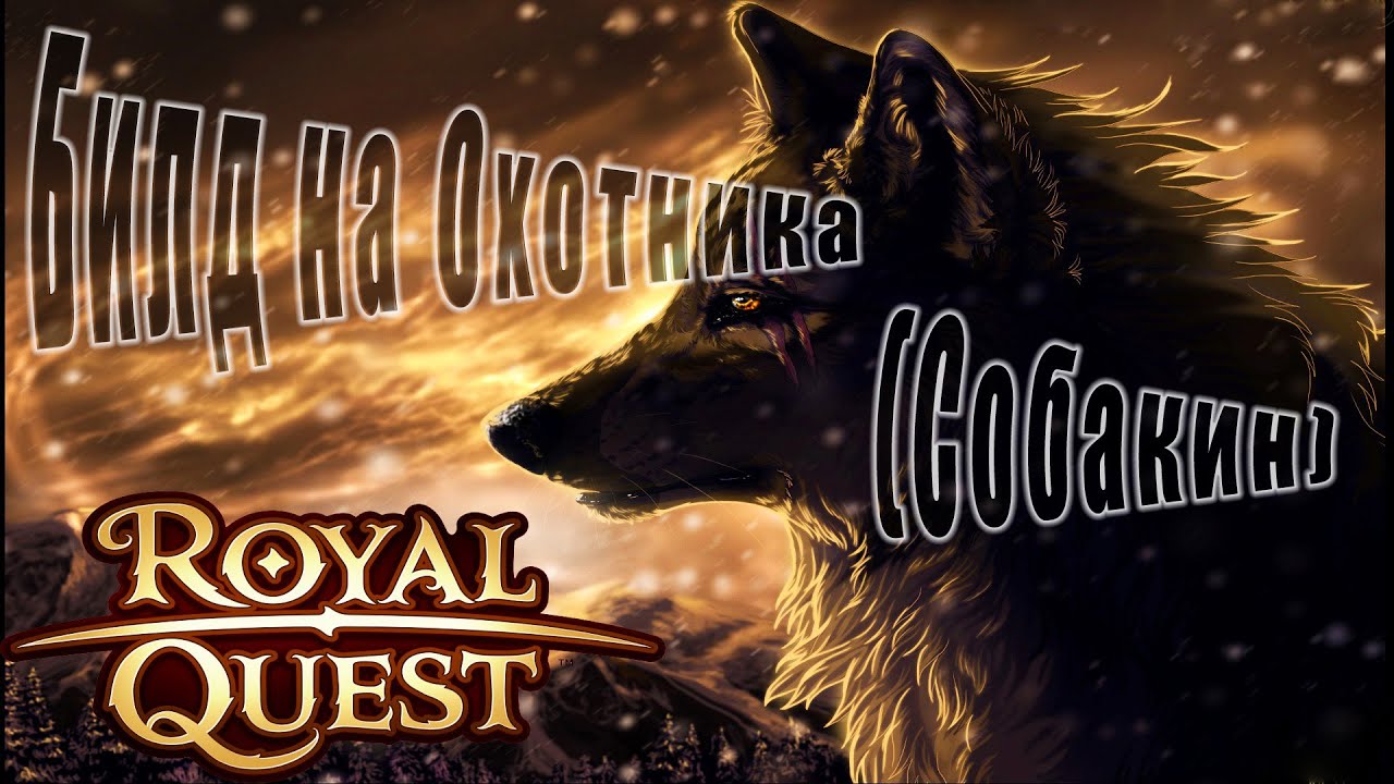 Royal Quest:Пве Билд и Гайд на Охотника с Ружьем (масс урон - волк)(прокаст)(для новичков)(От Нуго)