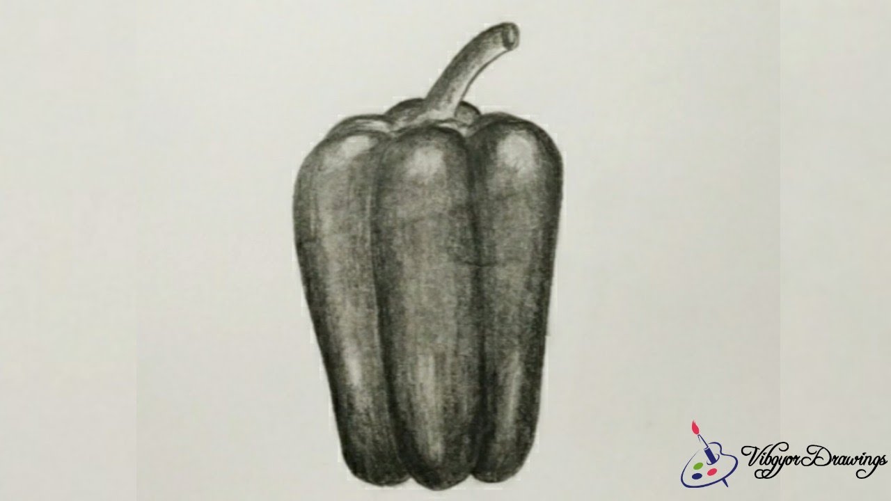 Bell Pepper Drawing/Pencil sketch/How to draw Bell Pepper/Vibgyor Drawings