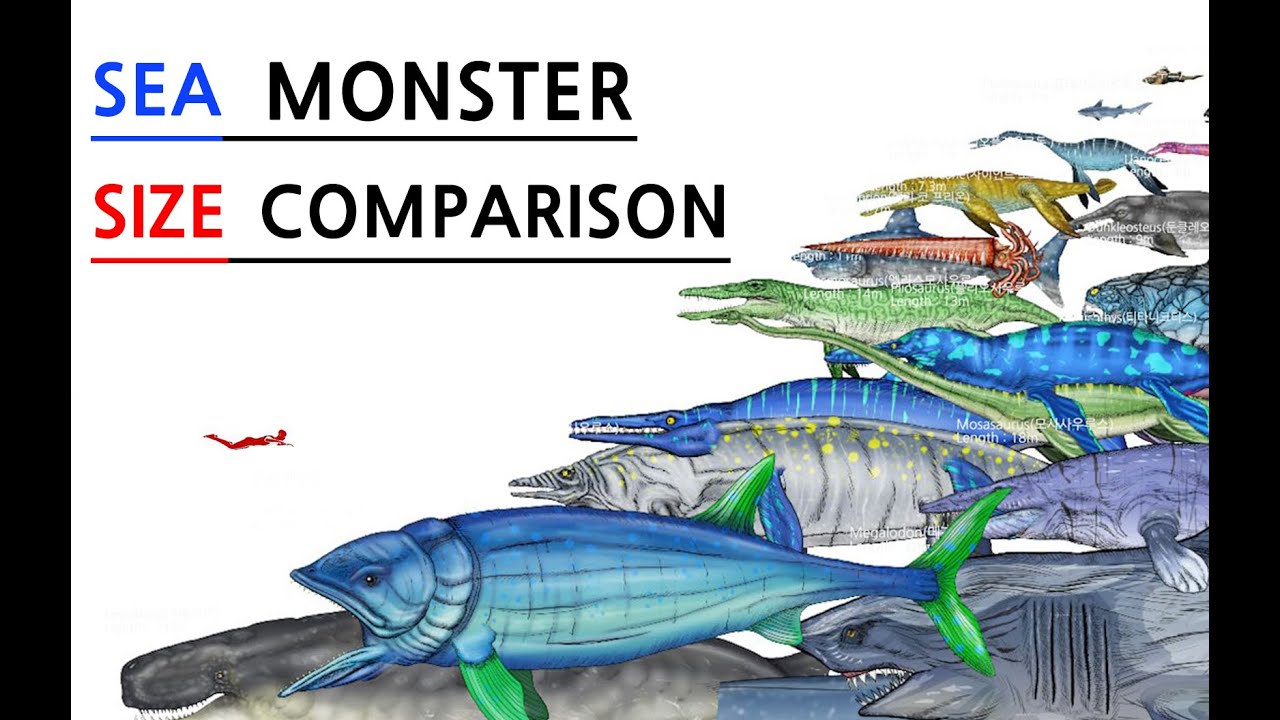 Size Comparison 02 | Sea MONSTER size comparison