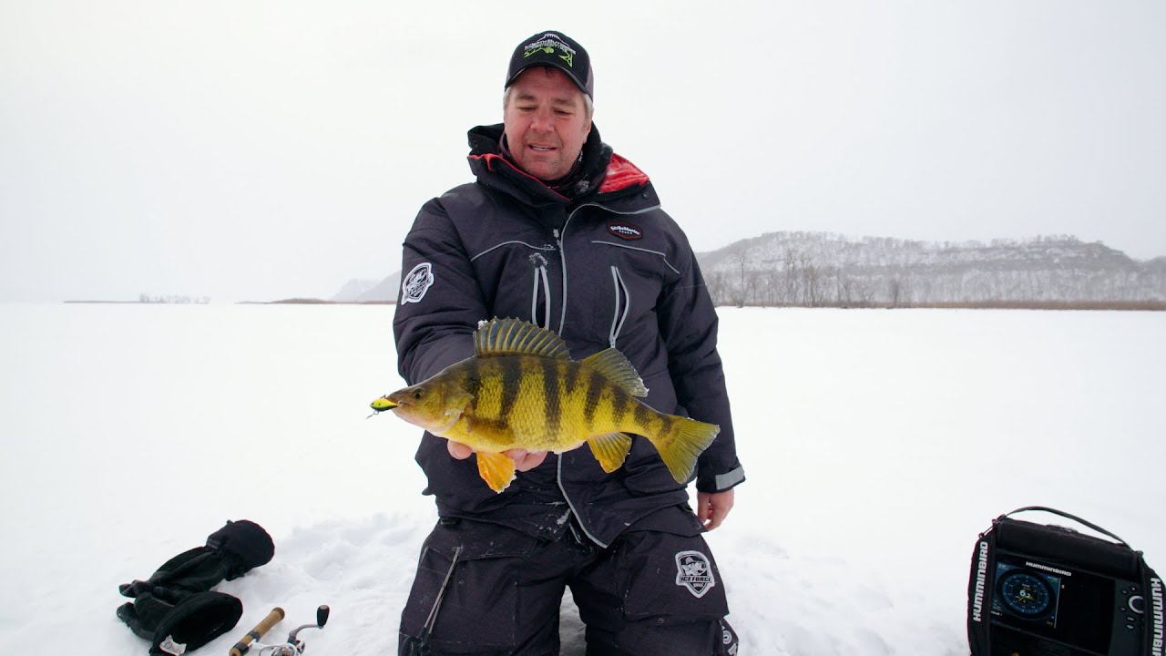 Giant Perch LOVE Rapala Rippin Raps - Hover Craft Perch Fishing on the Mississippi River S15 E11