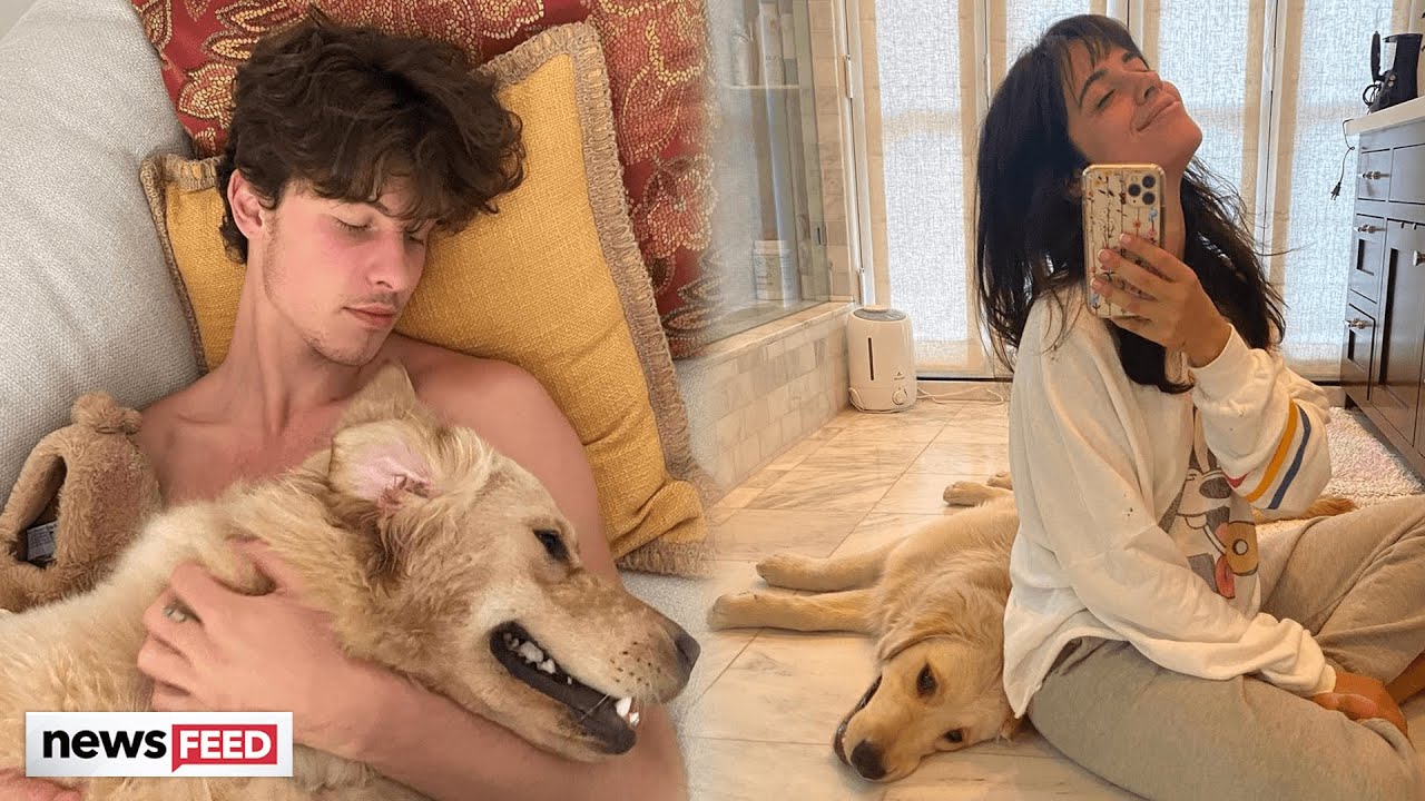 Shawn Mendes Allegedly Wants 'SPLIT CUSTODY' Of Dog After Camila Cabello BREAK-UP!