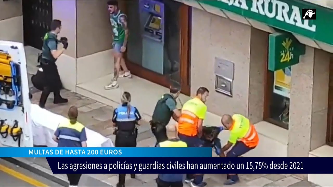 Marlaska silencia las agresiones contra los miembros de la Policía Nacional y la Guardia Civil