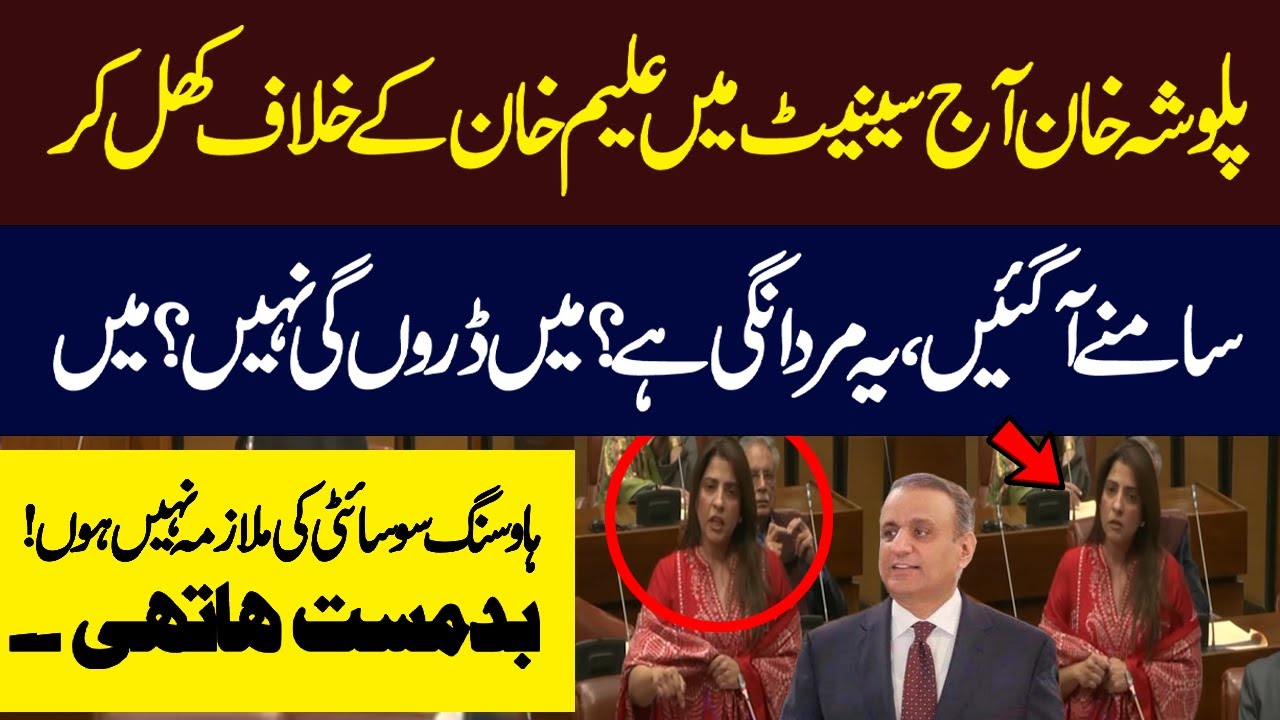 Palwasha Khan hard Hitting Speech  Against Aleem Khan In Senate | Hum News | Pakistan