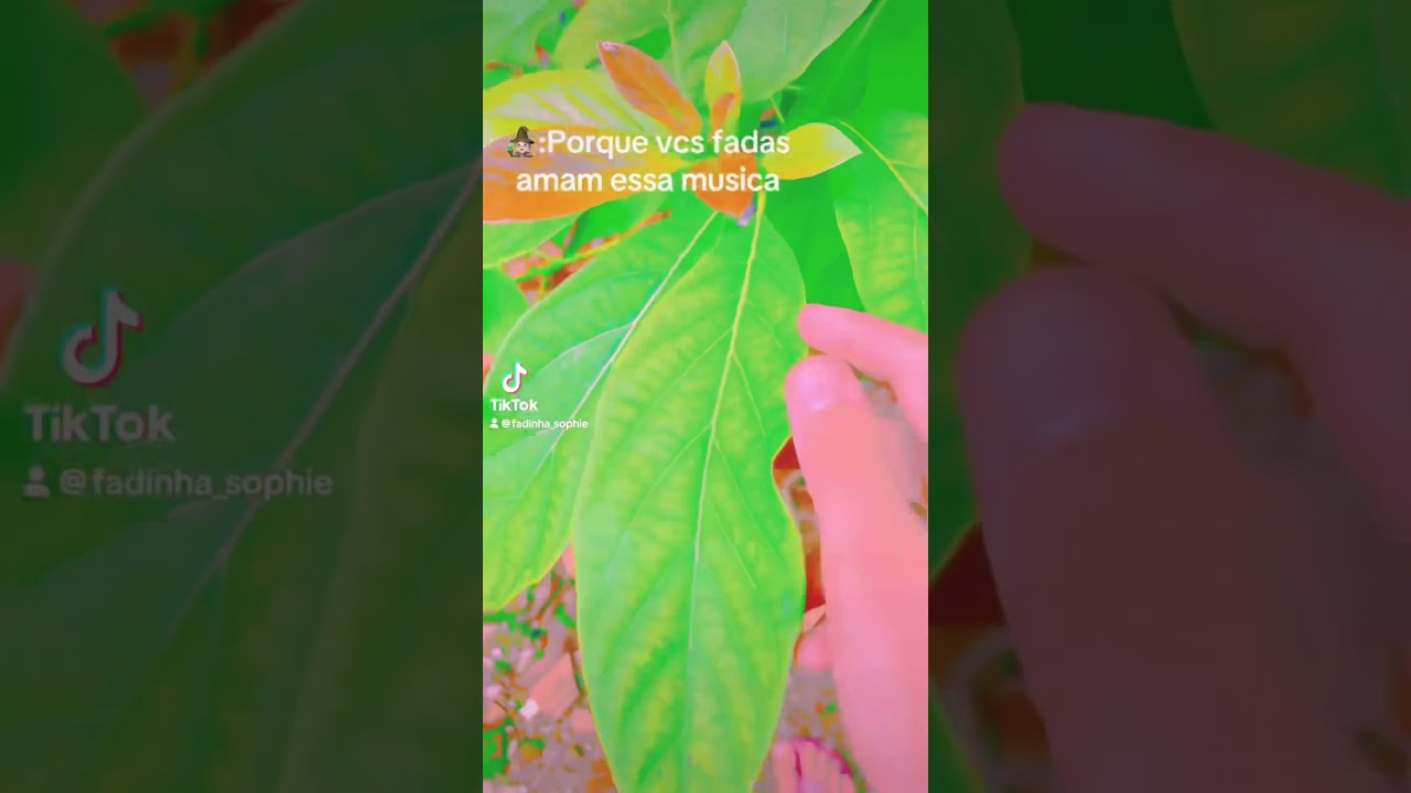 #fadas #fairy #rpg #fadas #fairy #rpg #fadas #fairy #fadas #fadas #fadas #fadas