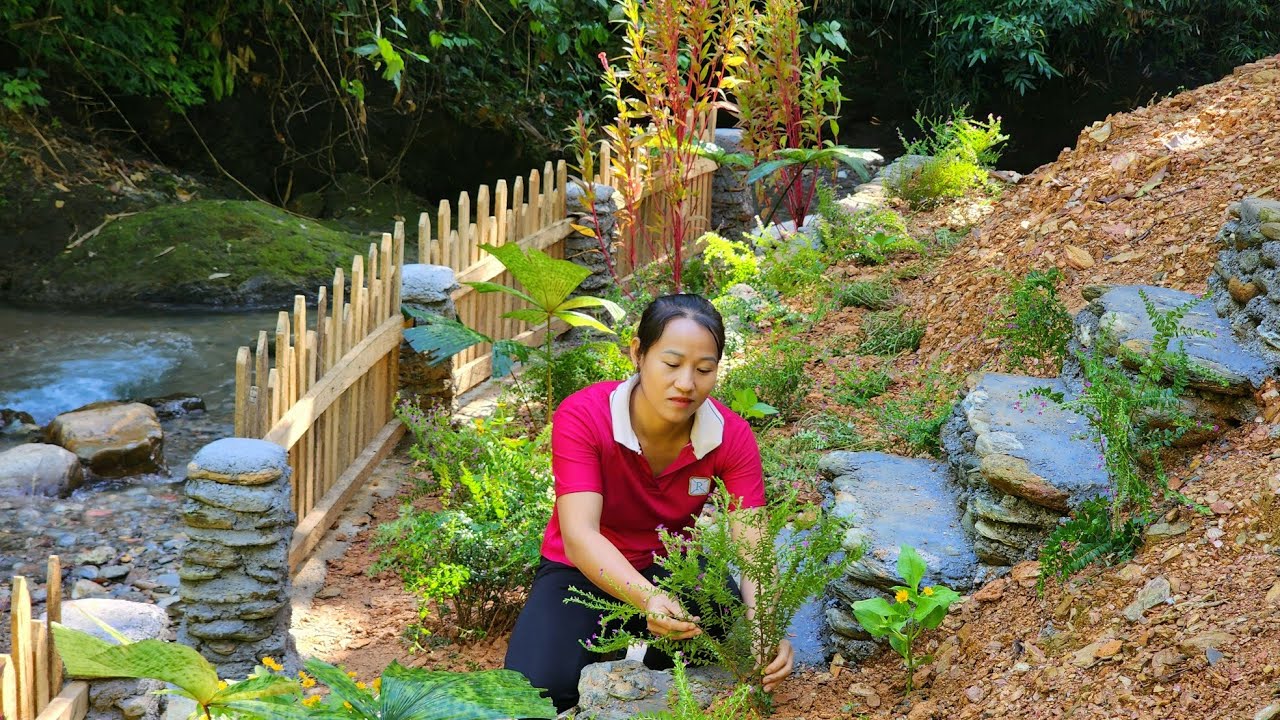 Harvest natural forest fruits to sell and grow farm flowers | Lý Thị Viện
