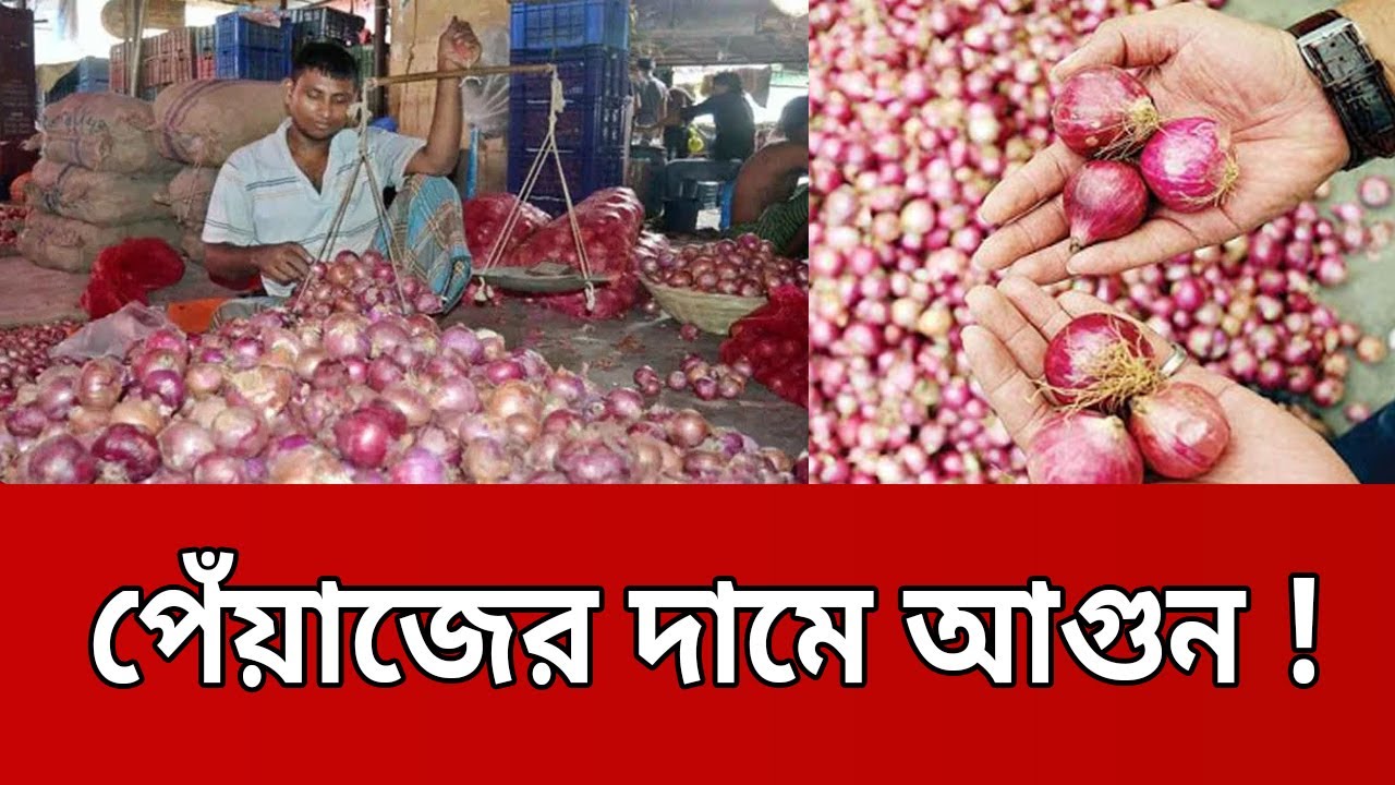 পেঁয়াজের দামে আগুন ! | Onion Price Hike | Bangla News | Mytv News