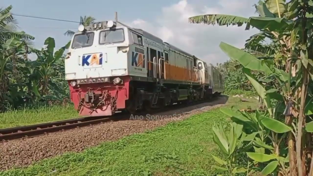 Kereta Api Parahyangan Fakultatif Menikung Di Jalur Kereta Single Track Purwakarta ‼️