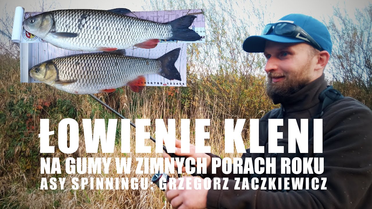 Łowienie Kleni na gumy w zimnych porach roku  | Asy Spinningu: Grzegorz Zaczkiewicz
