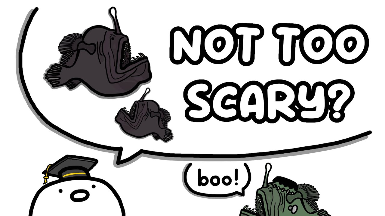a basic lesson on the HUMPBACK ANGLERFISH