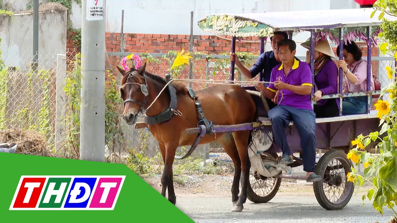 Về Thới Sơn (Đồng Tháp) du Xuân miệt vườn | THDT
