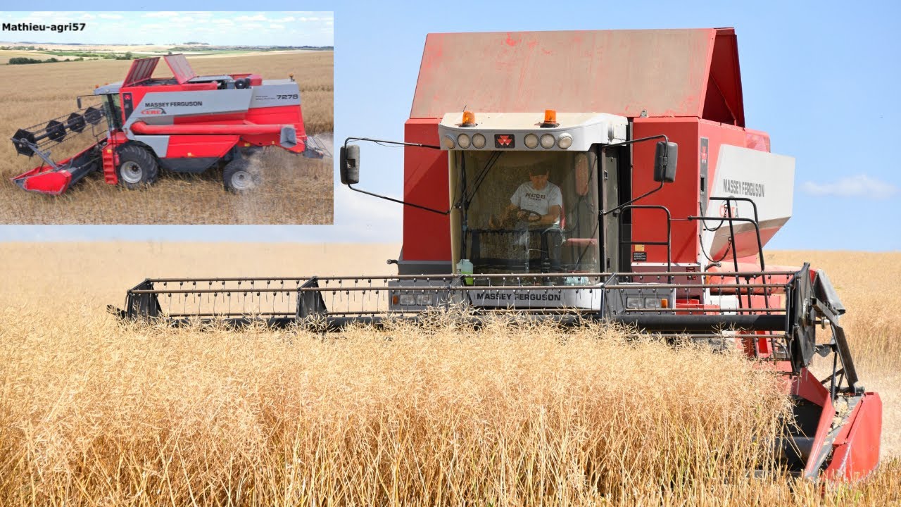 Massey Ferguson CEREA 7278 🤠