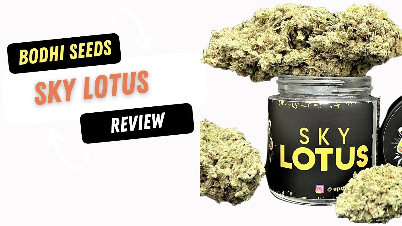 Sky Lotus Cannabis Review