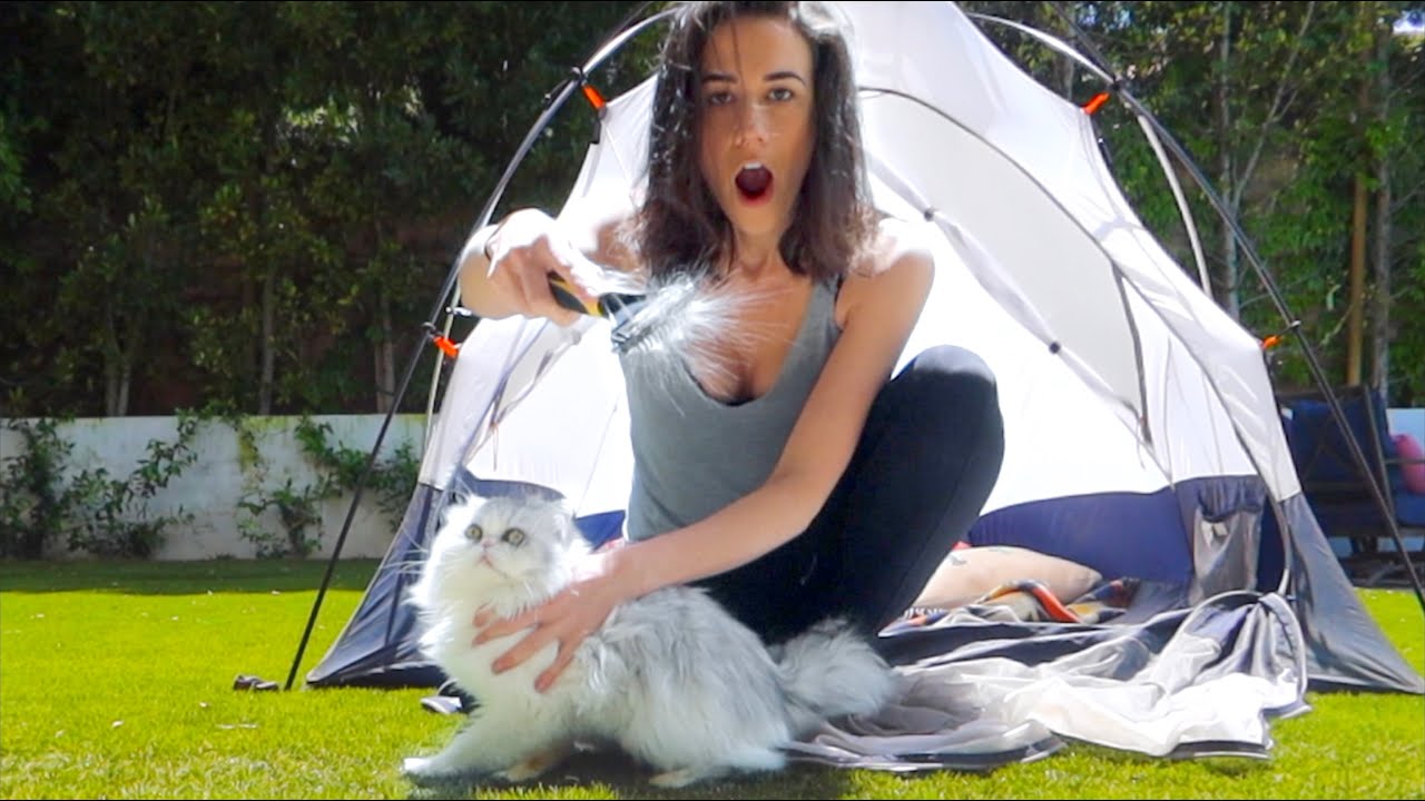 BRUSHING MY NASTY CAT!!!