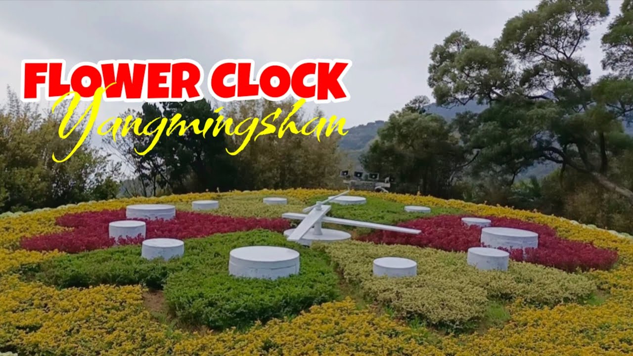 YANGMINGSHAN FLOWER CLOCK IN TAIPEI, TAIWAN | TRAVEL GUIDE | @JOHONA
