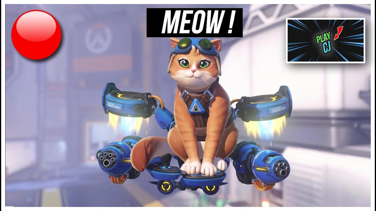 🔴 Jetpack Cat is Here !!! LIVE |  Overwatch