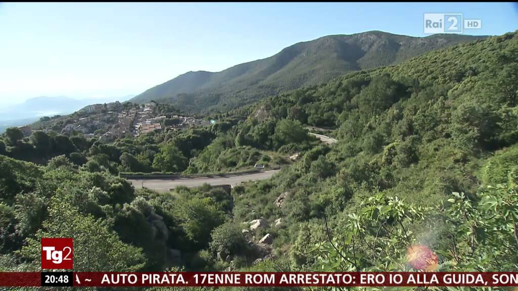 Villagrande Strisaili - Servizio TG2 - Approfondimento