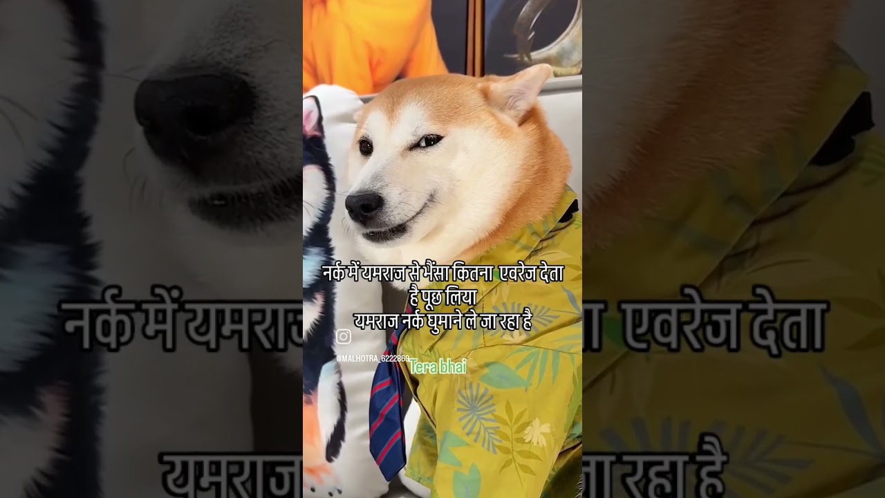 #nark #special #cartoon #funny #craftjokeof 😃😃