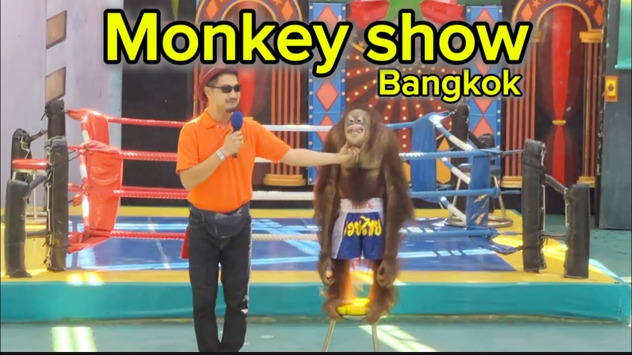 Monkey show @Bangkok