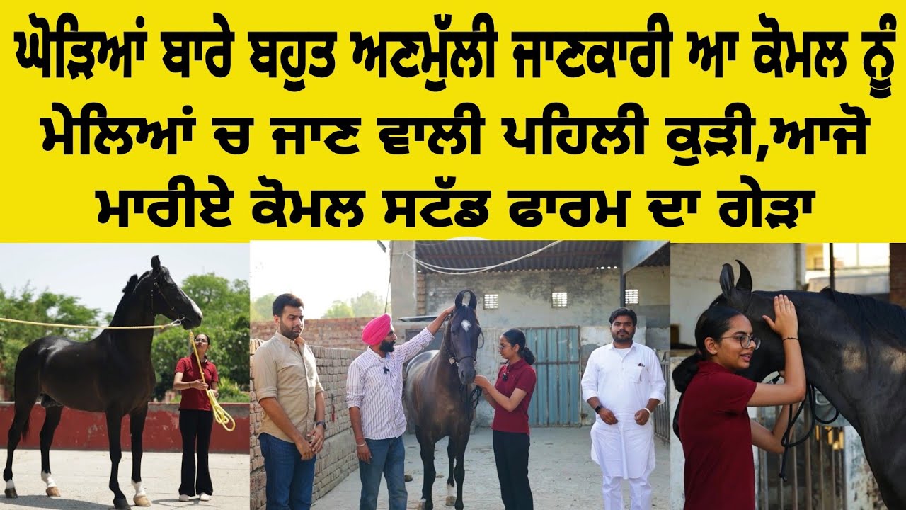 ਮੇਲਿਆਂ ਚ ਜਾਣ ਵਾਲੀ ਪਹਿਲੀ ਕੁੜੀ,ਆਜੋ ਮਾਰੀਏ ਕੋਮਲ ਸਟੱਡ ਫਾਰਮ ਦਾ ਗੇੜਾ