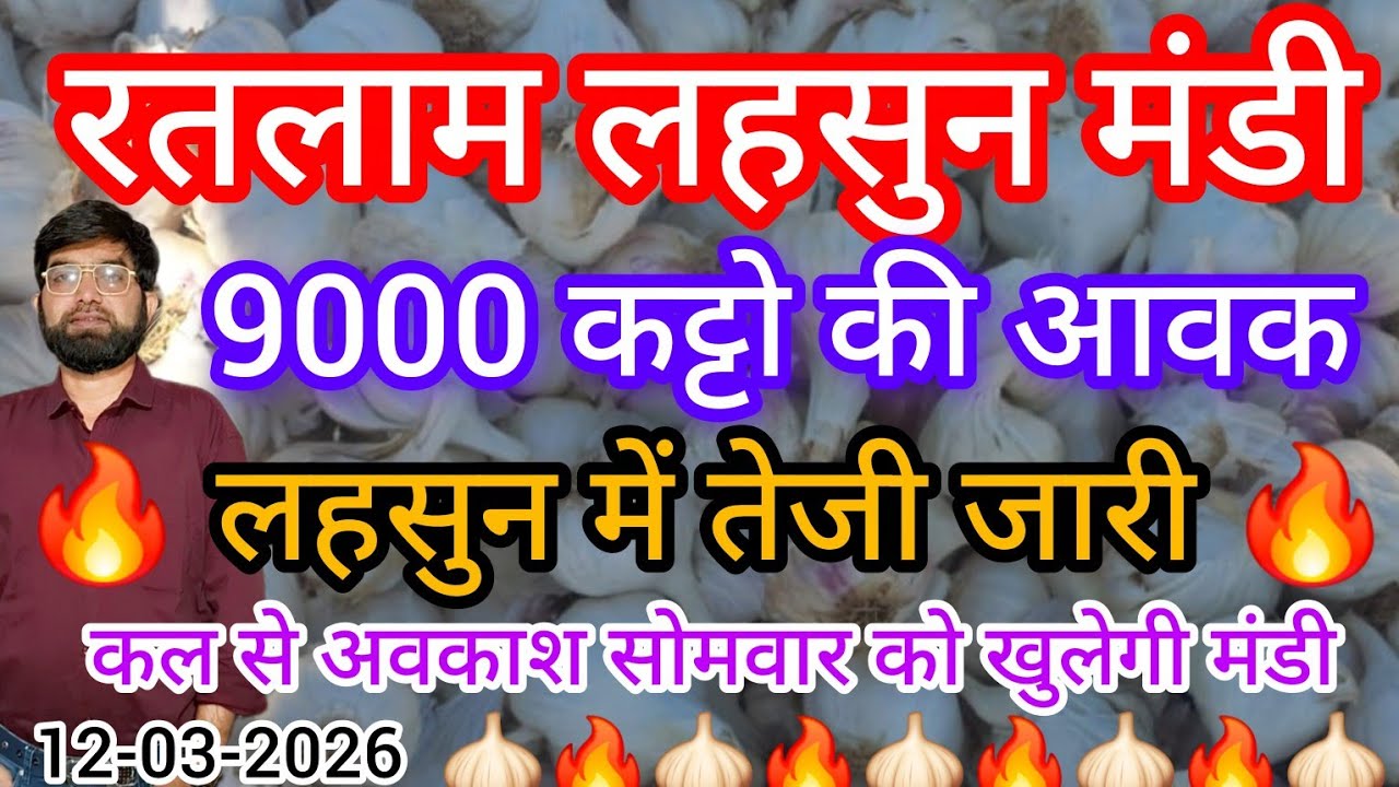 रतलाम मंडी लहसुन में शानदार खुले बाजार !! 🔥 🧄🔥🧄today Garlic price in ratlam m.p mandi  !!