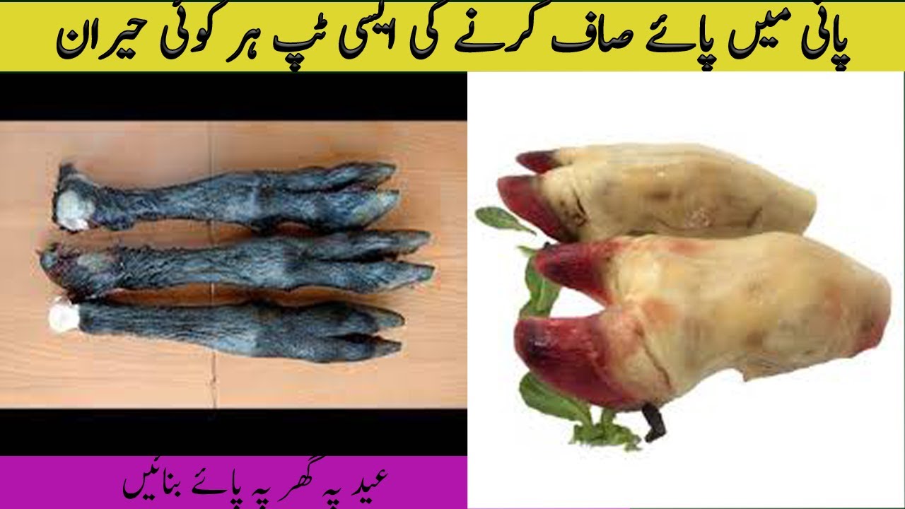 bakry k paye saaf karne ka tarika|| paya saaf karne ka asan tarika|| Kitchen With Nafeesa|