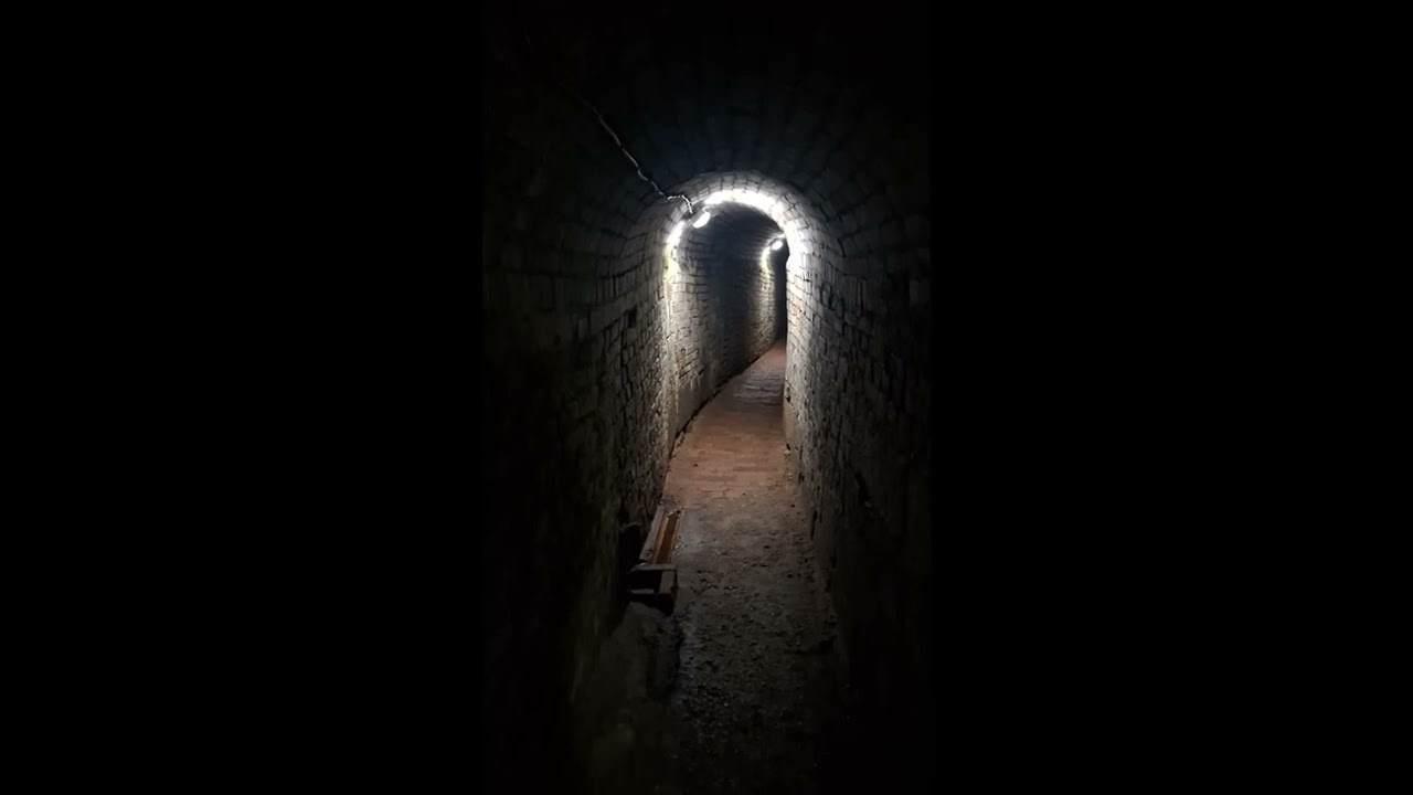 My Jolly at Ashby Castle