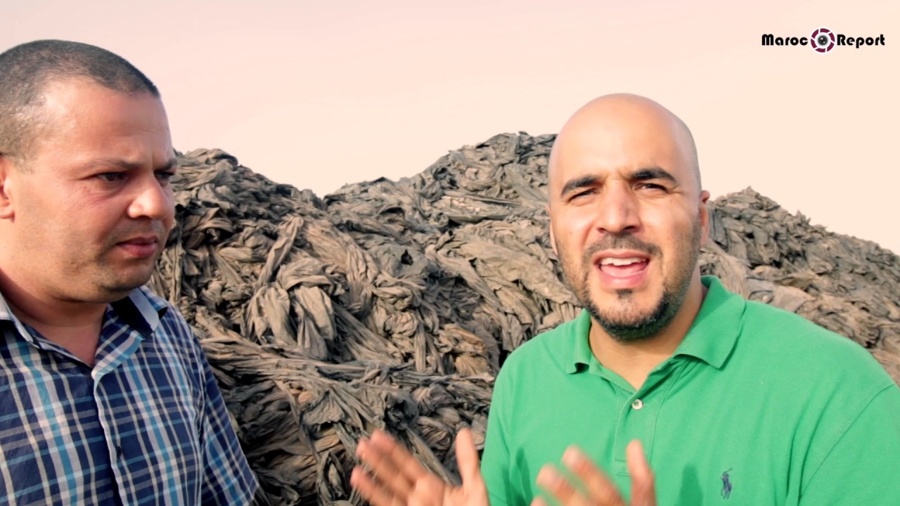 rencontre avec la société bioplastic par Maroc report