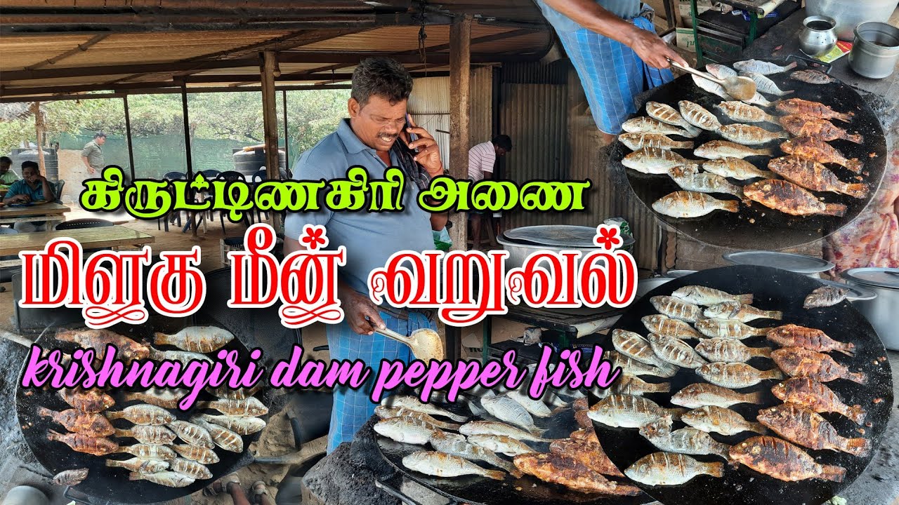 மிளகு மீன் வறுவல் | Krishnagiri Dam Fish Fry | Pepper Fish Fry | Kall Meen | KRP Dam
