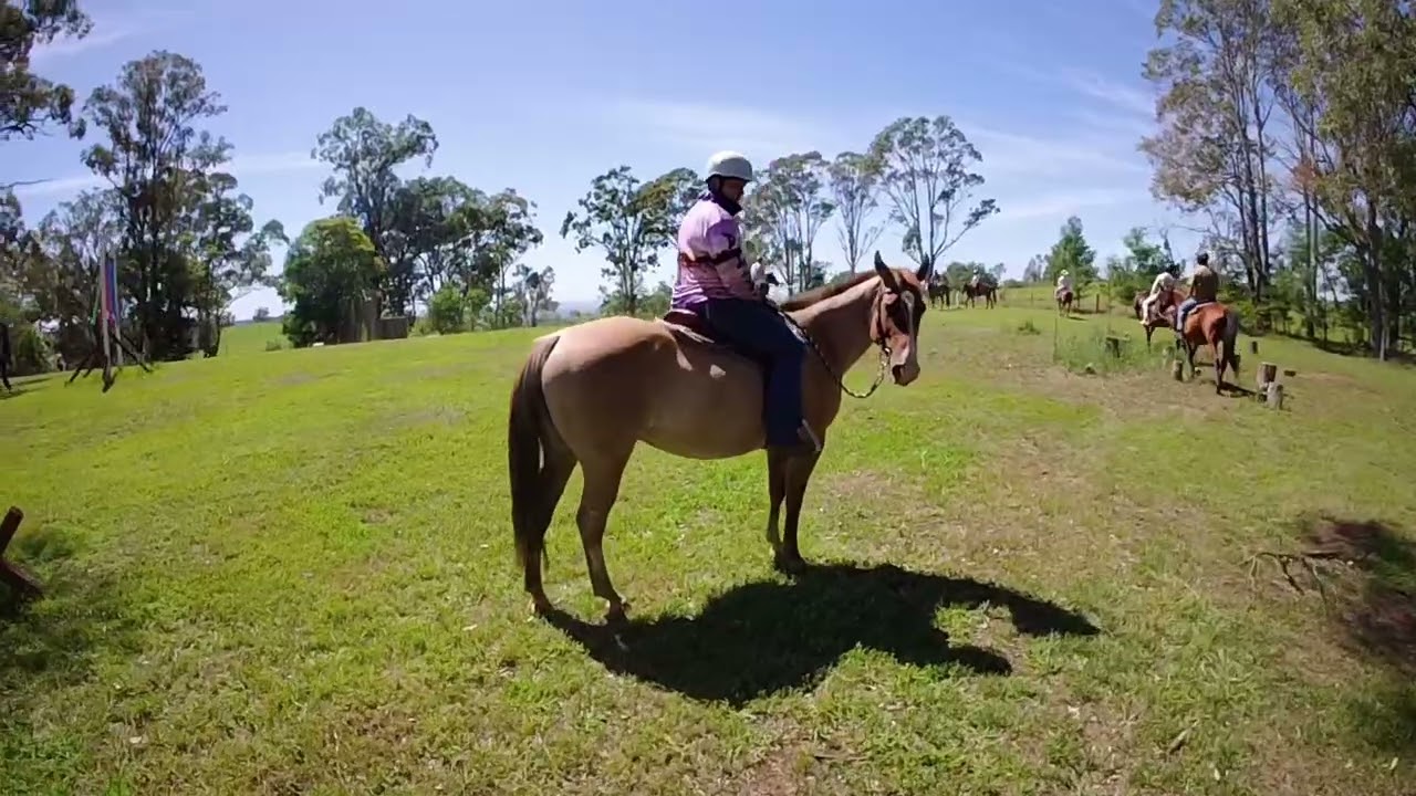 Home on the ranch