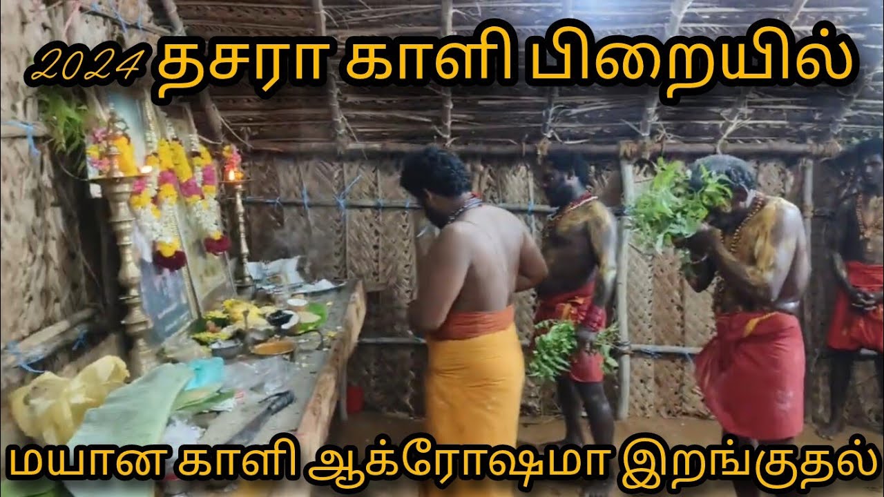 மயான காளி ஆக்ரோஷமா இறங்கி ஆட்டம்|| குலசை தசரா 2024 #trendingvideo #kulasaidasara2024 #சாமிஆட்டம்