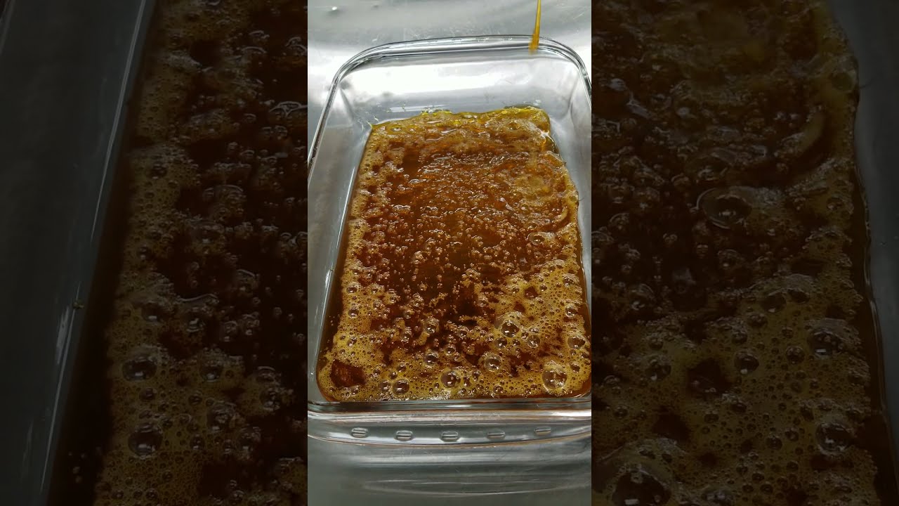 Crazy BHO Cannabis Extract Pourno Video Pour Out Butane Cannabis Extraction