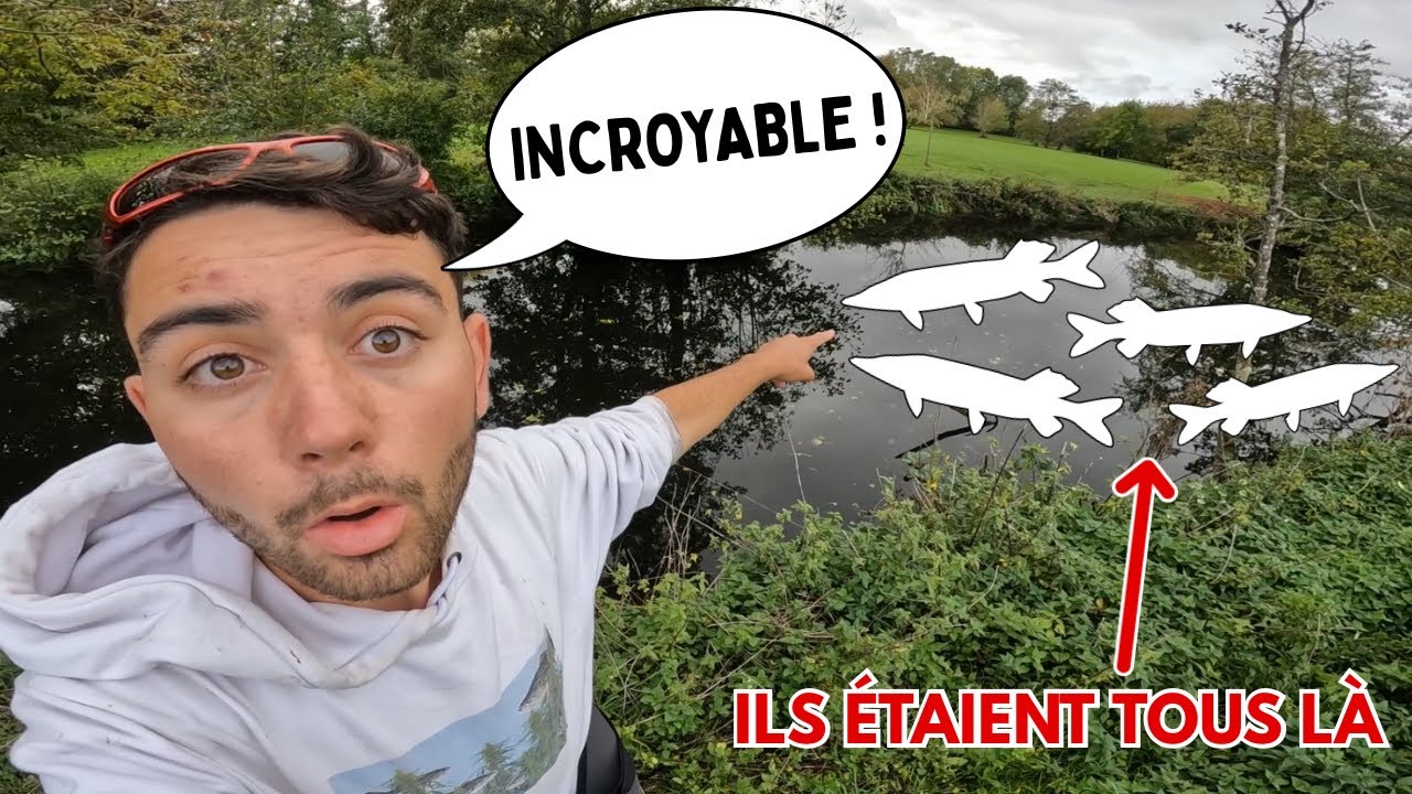 Les BROCHETS de cette PETITE RIVIÈRE étaient tous RASSEMBLÉS au MÊME ENDROIT ! 