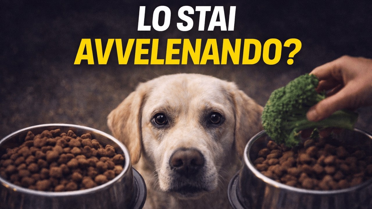 Il segreto del 10% che può allungare la vita al tuo cane (7 cibi che hai già in casa)