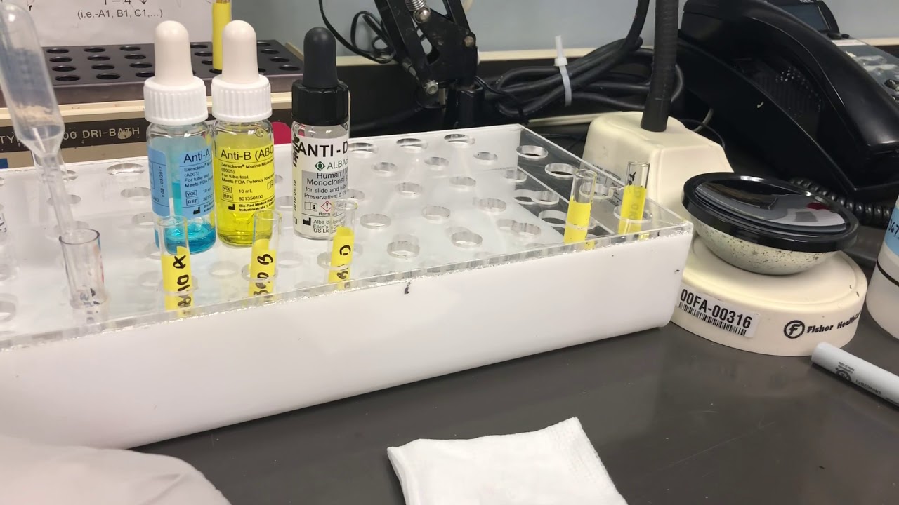 Cord Blood Testing