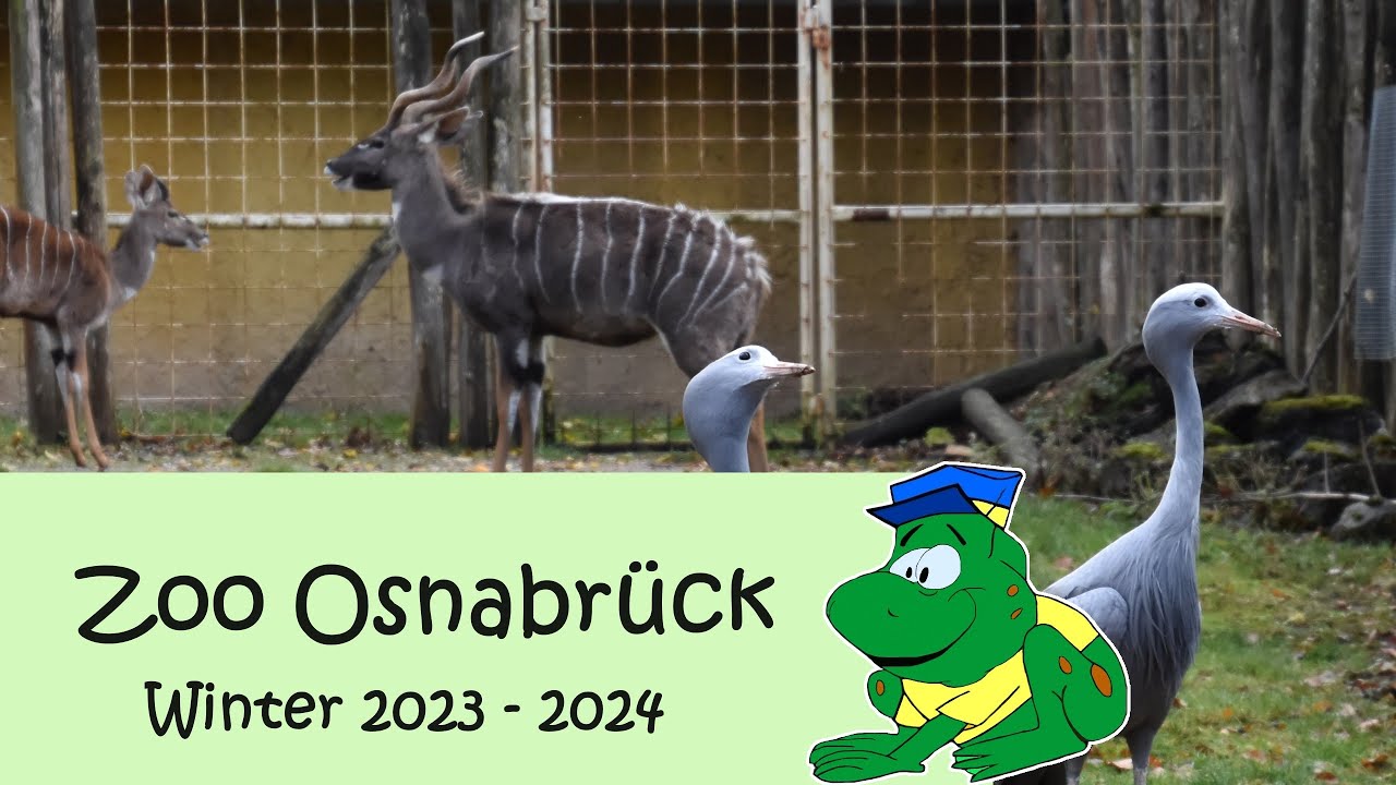 Zoo Osnabrück, winter 2023-2024
