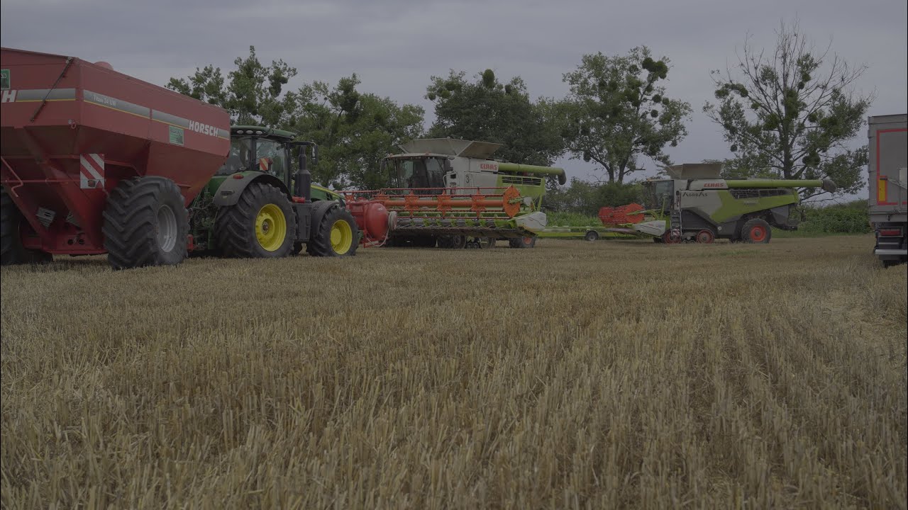 🇵🇱 Wielkie Żniwa 2024 | 4x Claas Lexion | 7x John Deere