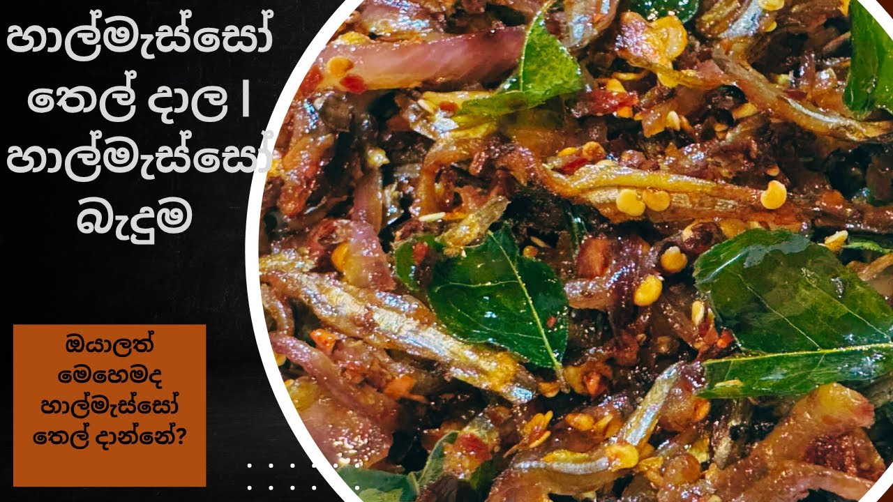 හාල්මැස්සෝ  තෙල් දාල | හාල්මැස්සෝ බැදුම.#food #recipe #usa #srilanka #sprat #cooking #sihala #foodie