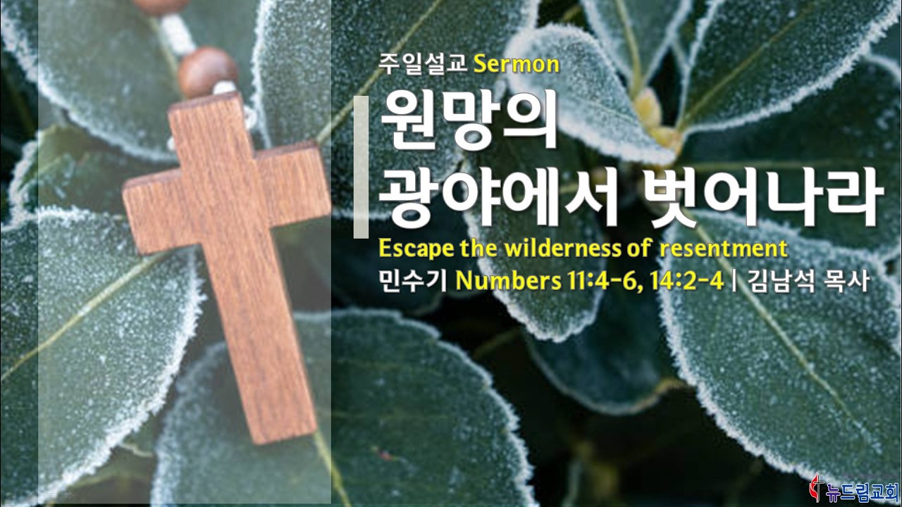 [뉴드림교회 주일예배 2부] 2026.2.15 | 원망의 광야를 벗어나라 | 민수기 11:4-6, 14:2-4 (김남석 담임목사)