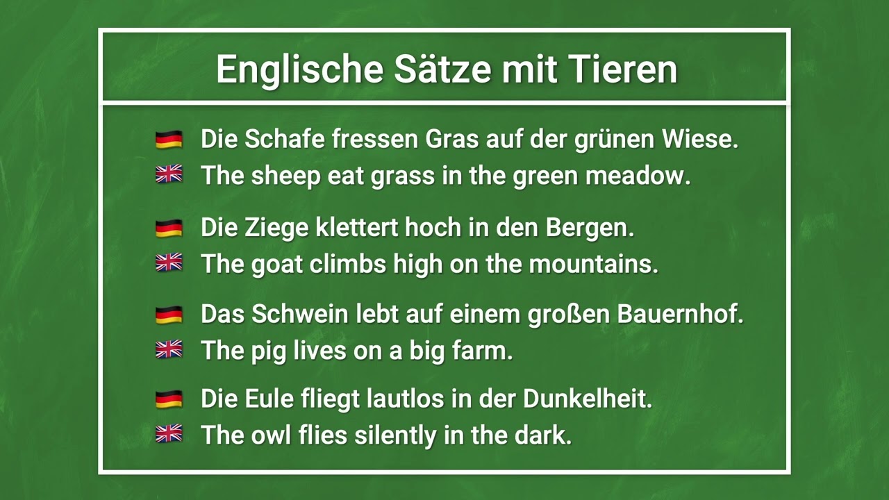 Englisch lernen: Beispielsätze zum Thema Tiere